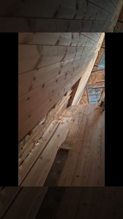 1000029175.mp4 (Собака наблюдает за креплением имитации бруса внутри дома А-фрейм)