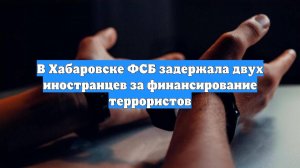 В Хабаровске ФСБ задержала двух иностранцев за финансирование террористов