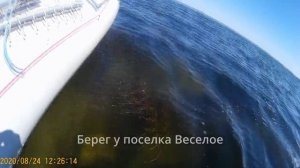 24.08.2020 Покатушки под парусом по Каховскому водохранилищу.