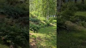 Продается дом 199,70 кв.м, два земельных участка - площадью 2198 кв.м и 356 кв.м, баня 6 х 6