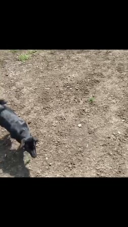 На площадке