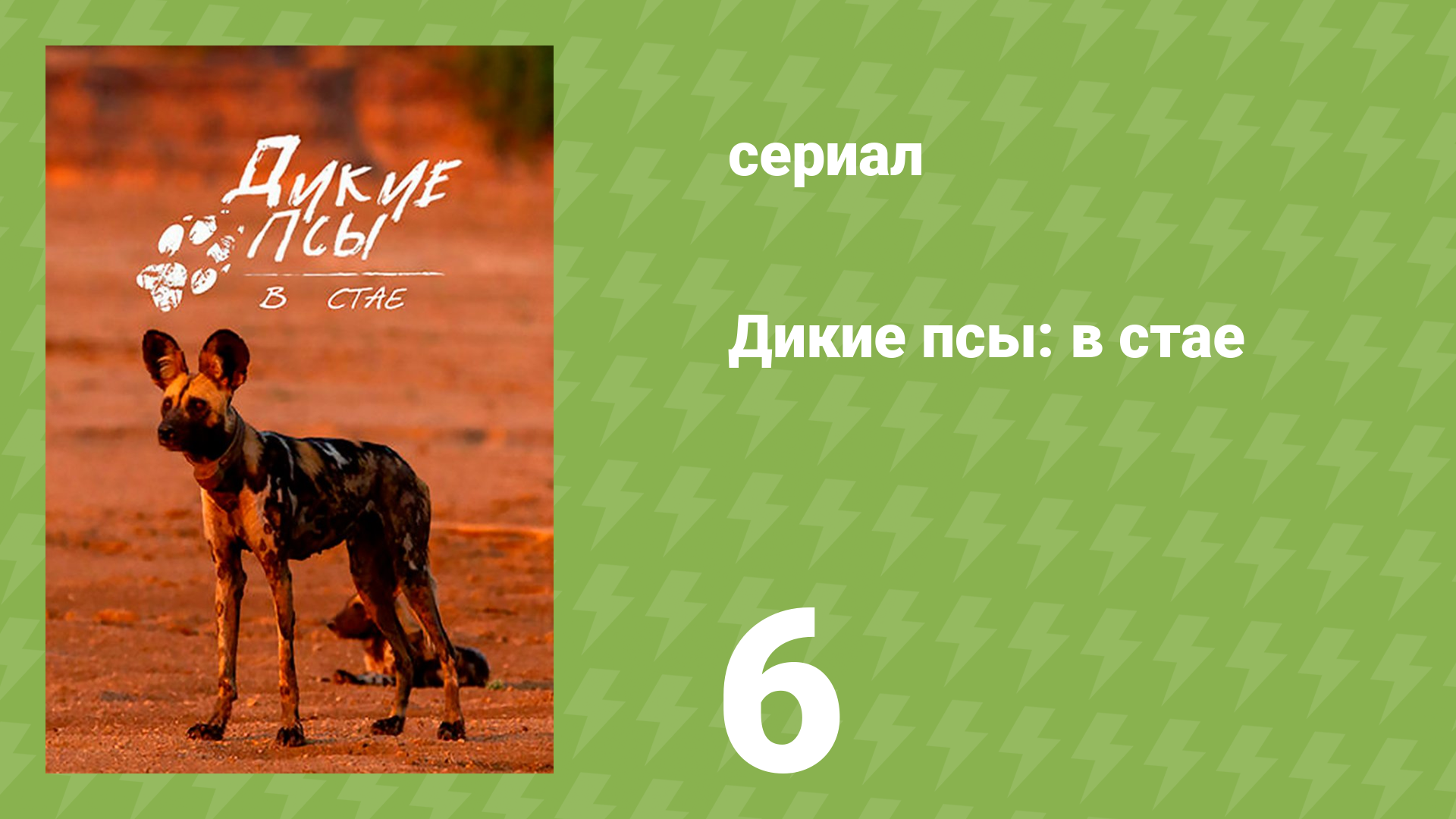 Дикие псы: в стае 1 сезон 6 серия «А вот и дождь» (документальный сериал, 2022)