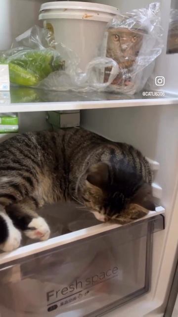 Отстань, мне и тут хорошо