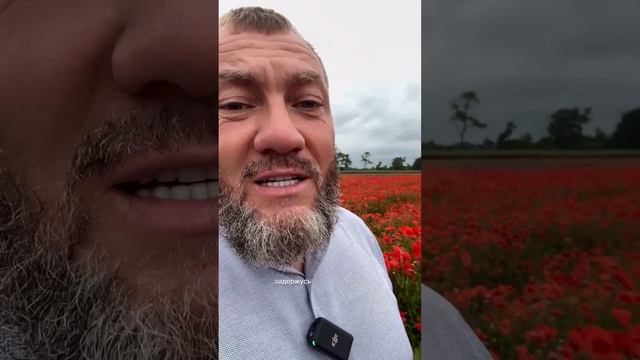 Вспоминаете деревню русскую?