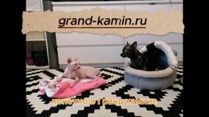 Где купить камин?