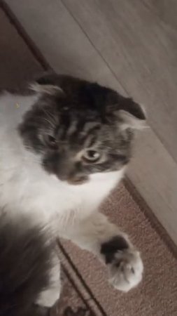 Что не работаешь ?