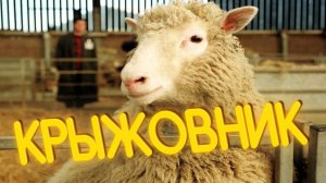 ПРИКОЛЫ ОТ ЧЕЛОЗАВРА 2025 / КРЫЖОВНИК / СМЕШНЫЕ ВИДЕО / МЕМЫ