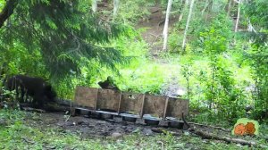 ✔️ Великолепная Пятерка в эфире