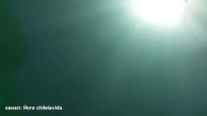 ШАВАСАНА - Техника Глубокого Расслабления Лучшая Медитация Йога. Елена Малова