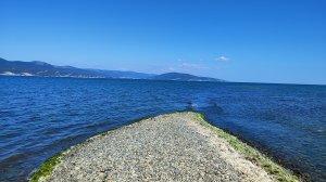 суджукская коса ( пляж Алексино) в Новороссийске