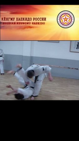 Master Igor Suryenkov. Kyungmu Hapkido demonstration. (Korea. Seoul. July 2011.) Part 2