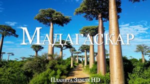 Мадагаскар HD - Живописный Фильм-Релаксация С Успокаивающей Музыкой