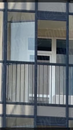 Собаку держали на жаре на балконе пять дней без еды и питья