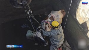 Корова упала в 5-метровый резервуар для забора воды