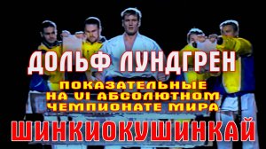 Киокусинкай.Дольф Лундгрен.Показательные на IV Абсолютном Чемпионате мира по Шинкиокушинкай
