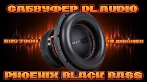 Сабвуфер DL AUDIO PHOENIX BLACK BASS 10