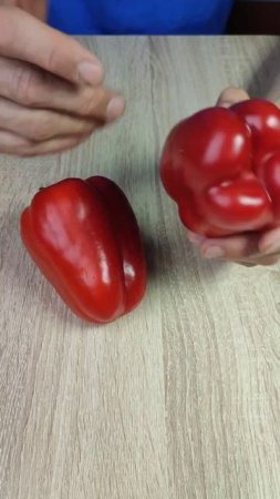 Как правильно выбрать болгарский перец