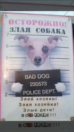 Отличное предупреждение!