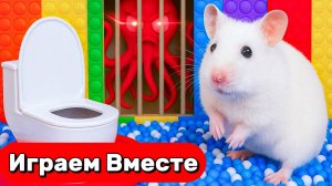ЛАБИРИНТ С МОНСТРАМИ И ЛОВУГКАМИ для ХОМЯКА 🐹 Лучшие Видео для детей !