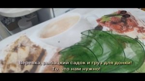 Спасаем волнистого попугайчика