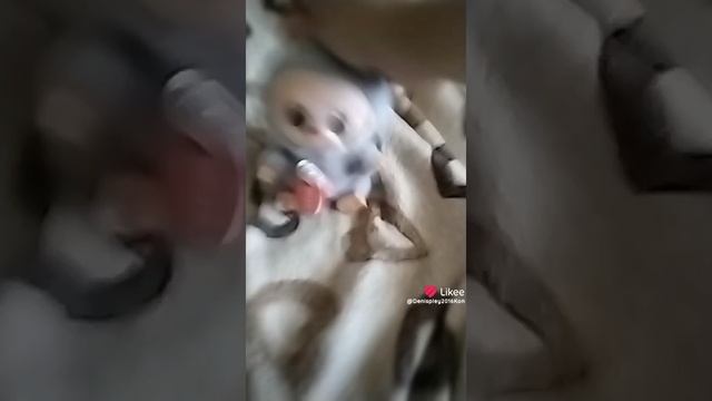 Лабубу