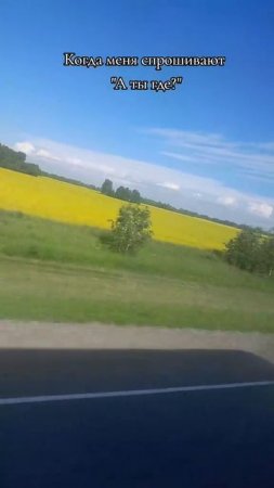 1000054575.mp4