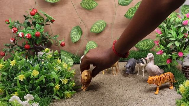 _  Моменты, Которые Растопят Ваше Сердце! ❤️_