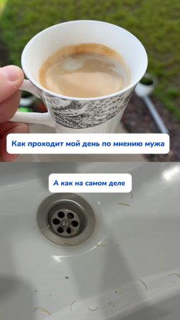 Жиза,девочки 🙌 ЧУДО Очиститель на WB #93550775 OZ #655295171 #отбеливатель #лайфхак #совет #мужжена