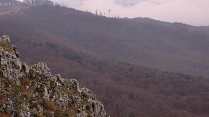 Зейский заповедник
Лесной дневник