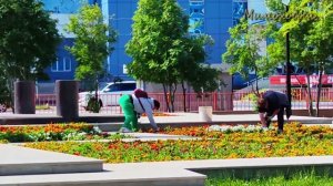 "МИМОХОДОМ", июль 2025 год. Автор проекта О. Дзиов
