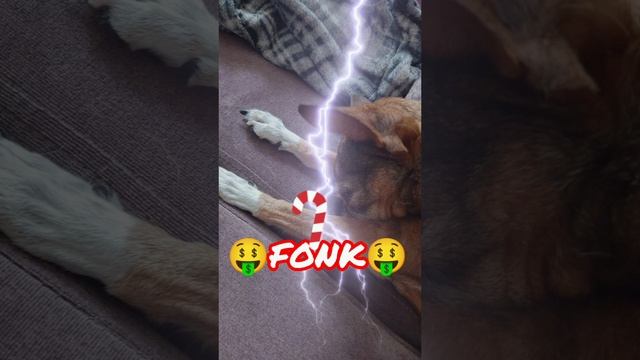 PHonk, 🤑Fonk🤑