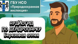 Берёзовая аллея (аудиогид по дендропарку от ГБУ НСО «Природоохранная инспекция»)