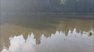 Поимки карпа на поплавочную снасть. Клёвое место, Лосиный остров, верхний водоём.