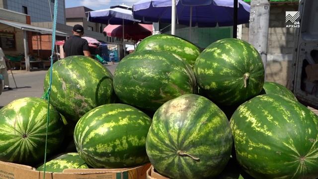 Как правильно выбрать арбуз или дыню?