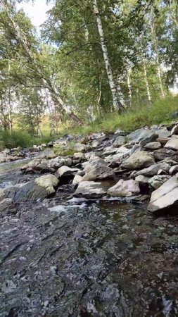 Рыбалка на небольшой речке Урала.