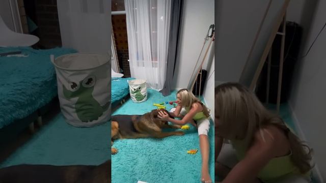 Карточка видео