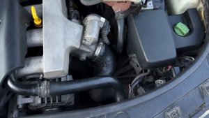 VID_20250715_092136_310.mp4.mov