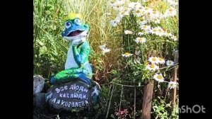 Сад-огород. Лето