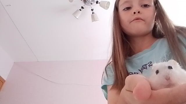 1000037559.mp4 смотреть онлайн