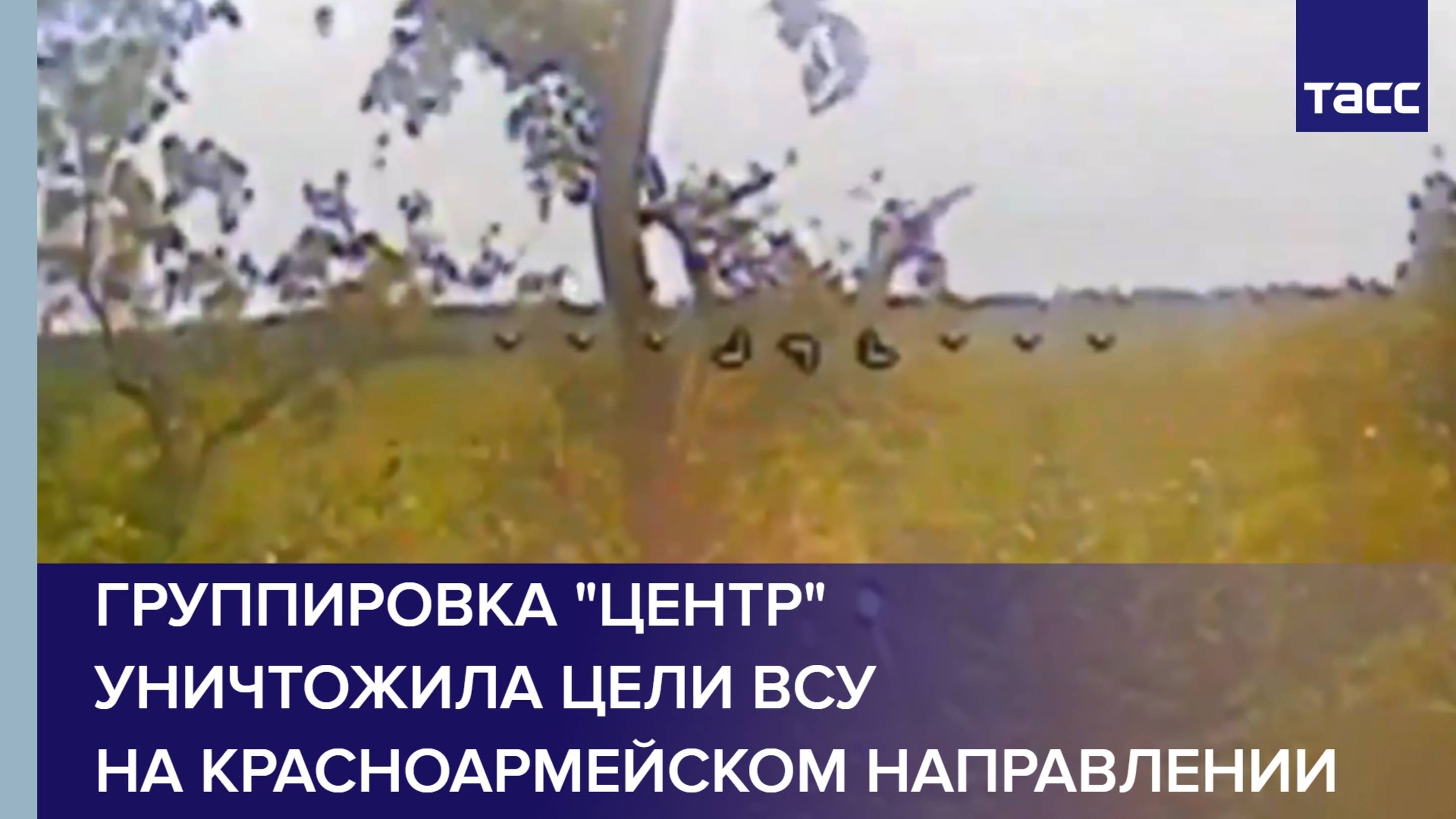 Группировка "Центр" уничтожила цели ВСУ на красноармейском направлении