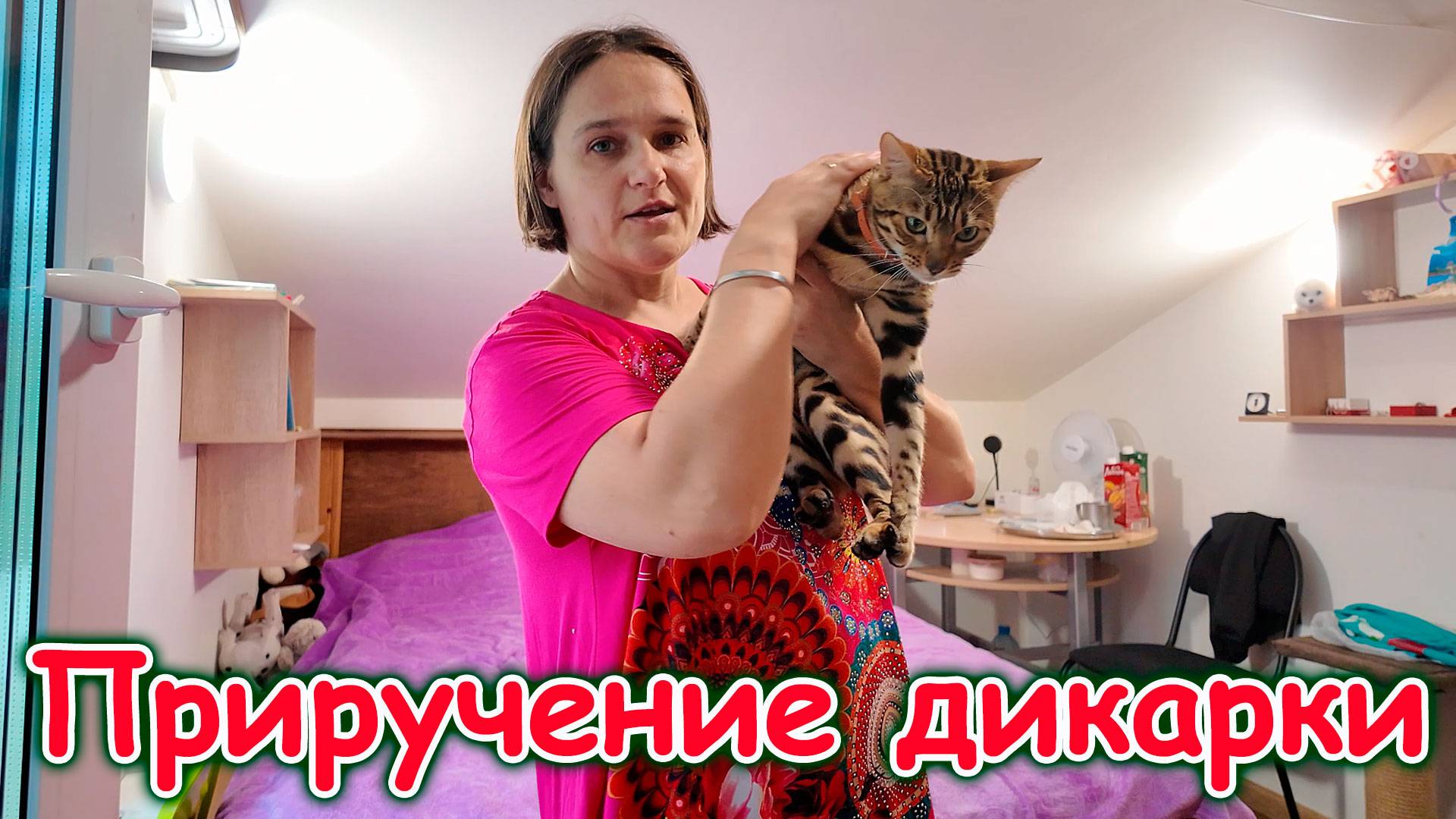 Приручаю Ириску. Примерка одежды. Ноутбук. Покупки Фаберлик. И др. (07.25г.) Семья Бровченко.