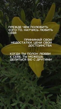 Любовь прекрасна, НО любовь к себе бесценна 🌸
