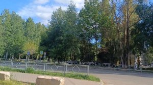 Тепло и солнечно: отличный повод для прогулки. Прогулки без повода