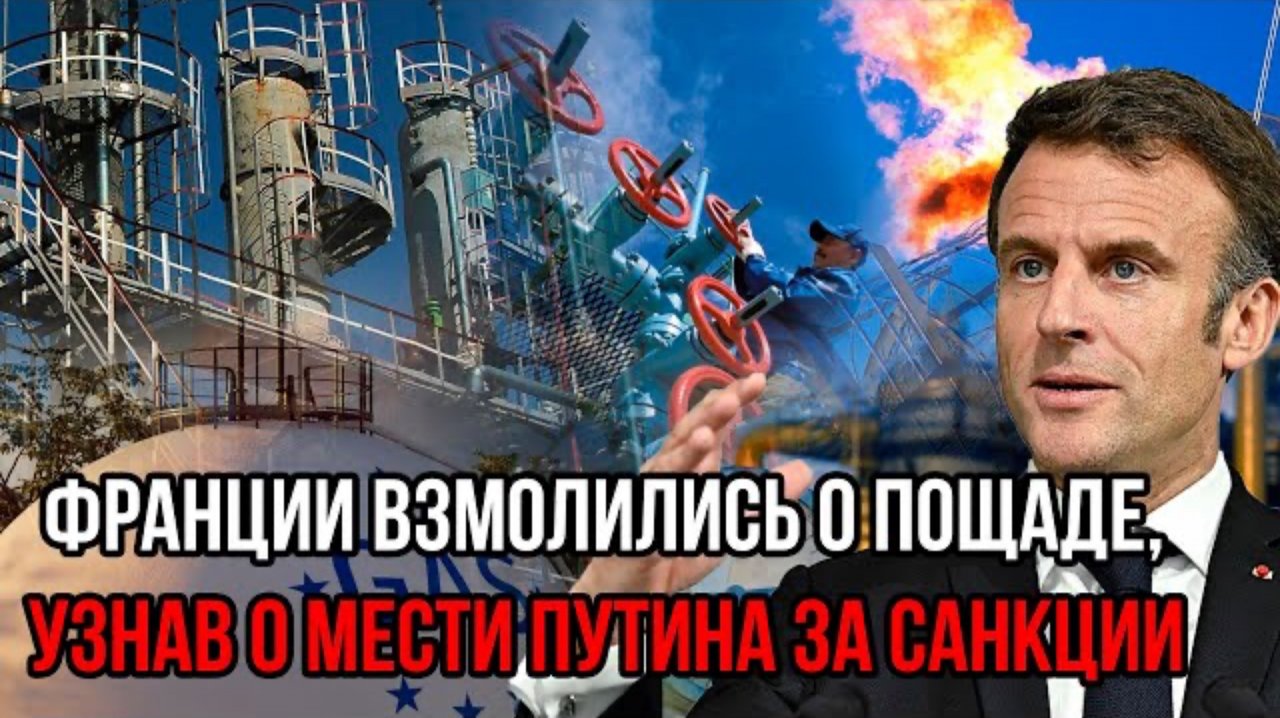 «Промышленность рухнет»: во Франции взмолились о пощаде, узнав о мести Путина за санкции