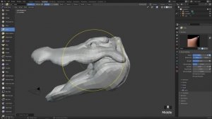 11_faceSets