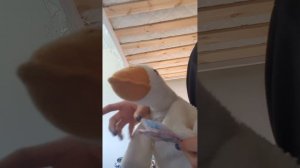 рутина семьи часть 1.
узнаю свой подарок на день рожденья🥳
я рада итогу❤