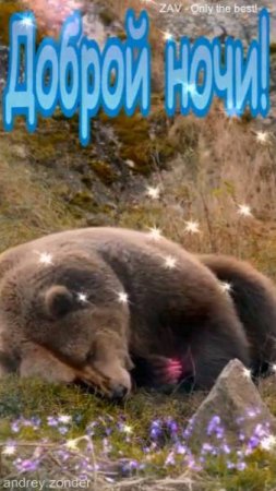 Доброй ночи!) Желанных снов) #добройночи