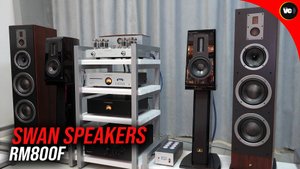 Обзор акустики Swan Speakers RM800F от Valeron's