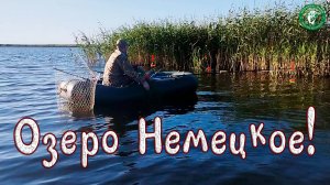 НАДУБАСИЛ КАРПА И САЗАНА ПОД КАМЫШОМ! РЫБАЛКА С НОЧЕВКОЙ С ЛОДКИ НА ПОПЛАВОЧКУ, РЫБАЛКА В КАЗАХСТАНЕ