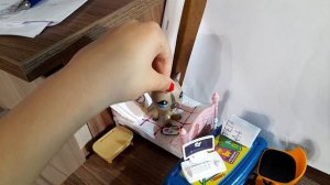 LPS фильм Как празднуют Хэллоуин